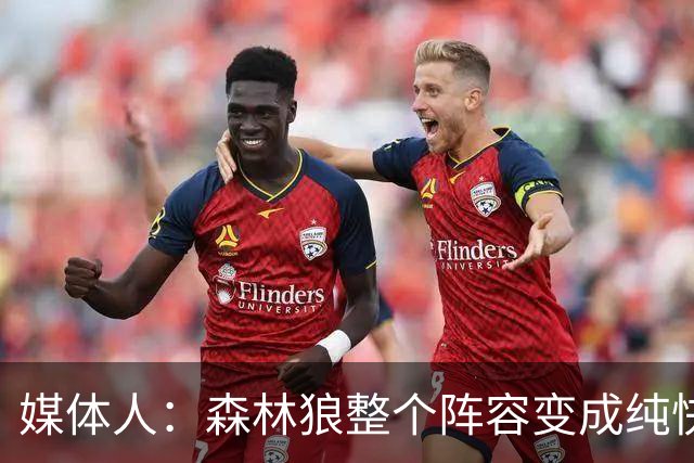 媒体人：森林狼整个阵容变成纯快节奏抢投了 球队也梭哈了